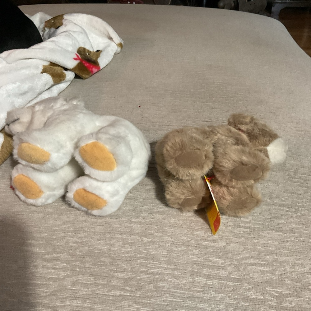 Steiff Plush Polar Bear and Brown Bear Set - Picture 5 of 5